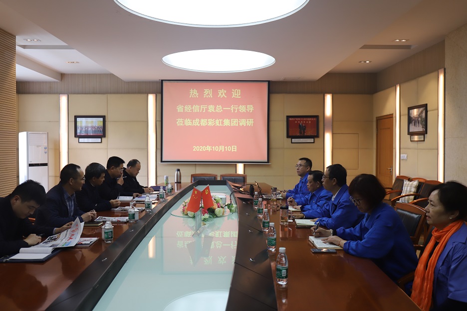 省经信厅袁冰总经济师一行莅临成都雷速在线注册-雷速（中国）集团调研