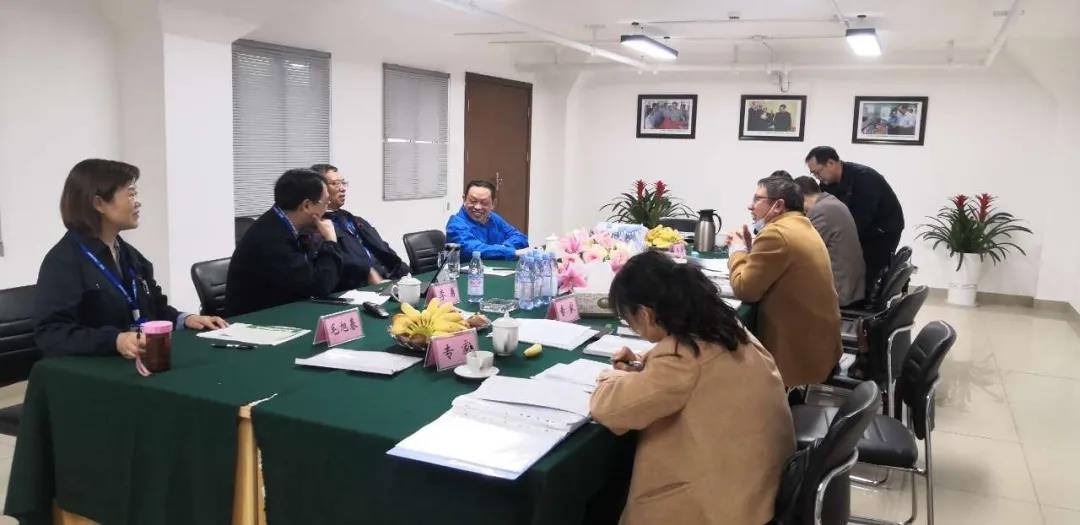 热烈祝贺成都雷速在线注册-雷速（中国）集团新材料科技有限公司顺利通过医疗器械体系审查