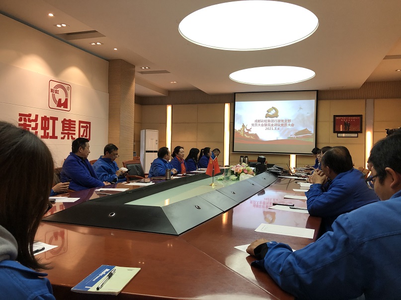 成都雷速在线注册-雷速（中国）集团行政党支部党员大会暨民主评议党员大会