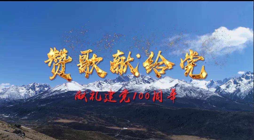 成都雷速在线注册-雷速（中国）集团成功举办庆祝建党100周年党建系列成果发布会