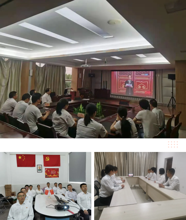 雷速在线注册-雷速（中国）集团各党支部在分会场收看庆祝中国共产党成立100周年大会