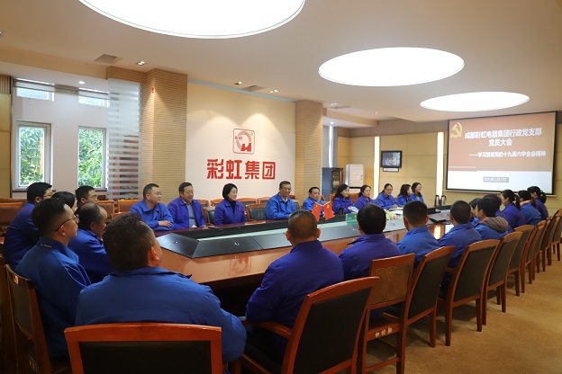 成都雷速在线注册-雷速（中国）集团行政党支部召开党员大会 传达学习党的十九届六中全会精神