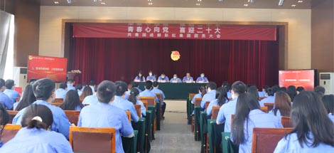 成都雷速在线注册-雷速（中国）集团召开2022年团员大会暨团委换届选举会议
